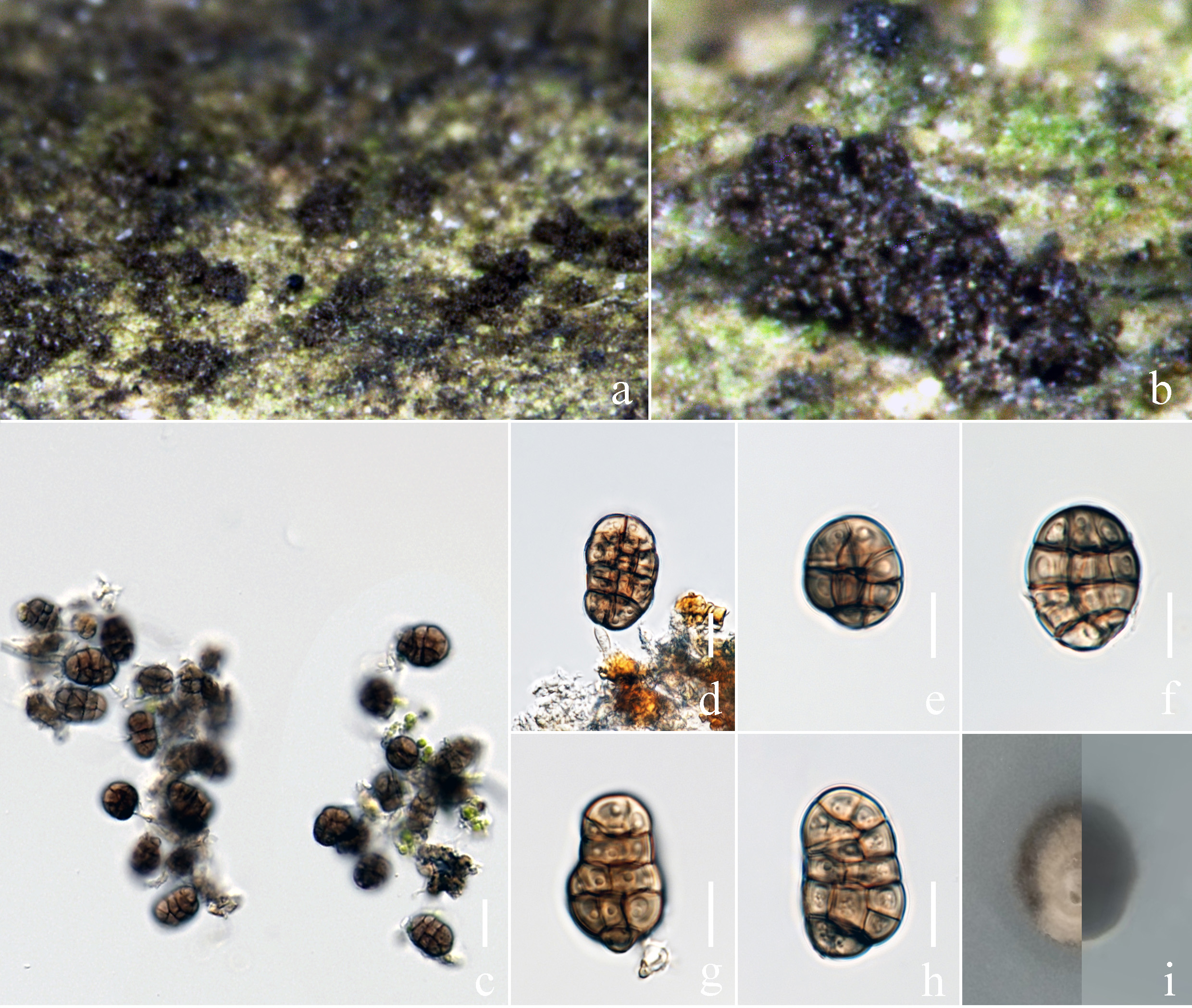 Figure 139